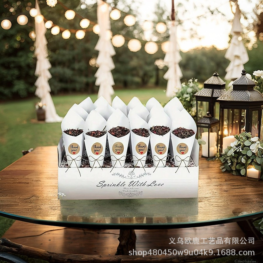 화이트 모델 XLKP-13