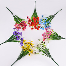 25���¿���滨�����m5�^������ɫ���羳�bٻ��������l������