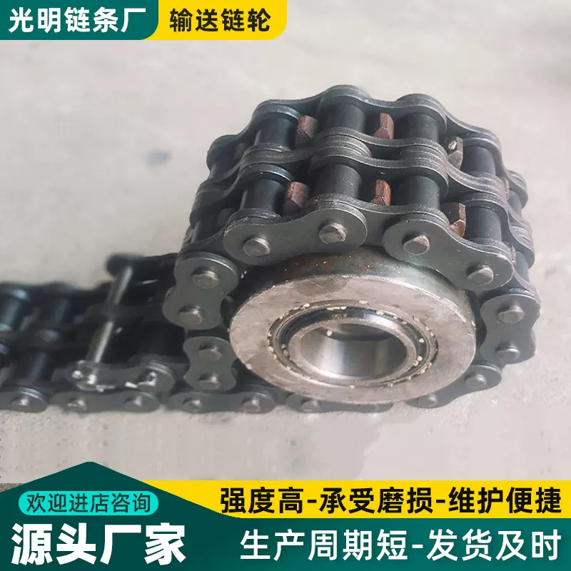 双排链轮搅拌机链条链轮轴承链轮传动链条机械配件大全不锈钢链轮