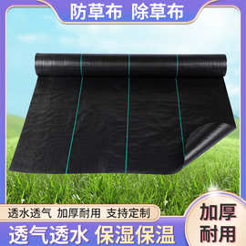 定制防草布农业园艺地布黑色农用除草果园防草地布pp全新料除草布