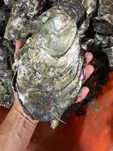 �Lɳ���տ������r����Ь���򺎧�����ԟ������rˮ�a���rĵϠ