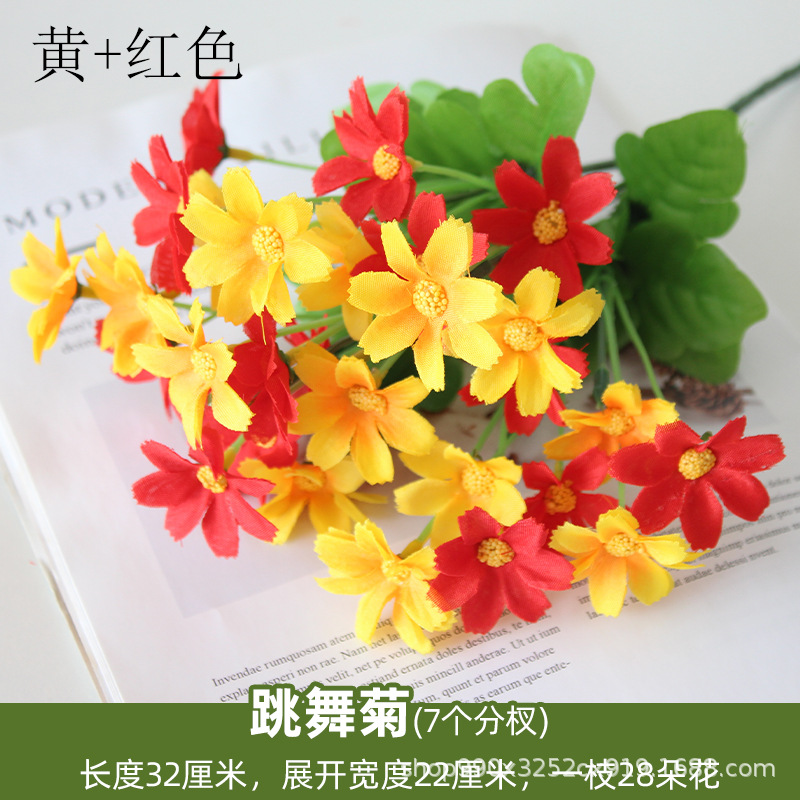 Bailando crisantemo amarillo + rojo