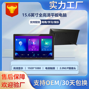 Cross-border explosions 15.6-inch HD tablet computer conference entertainment industrial capacitive touch display can be wall-mounted