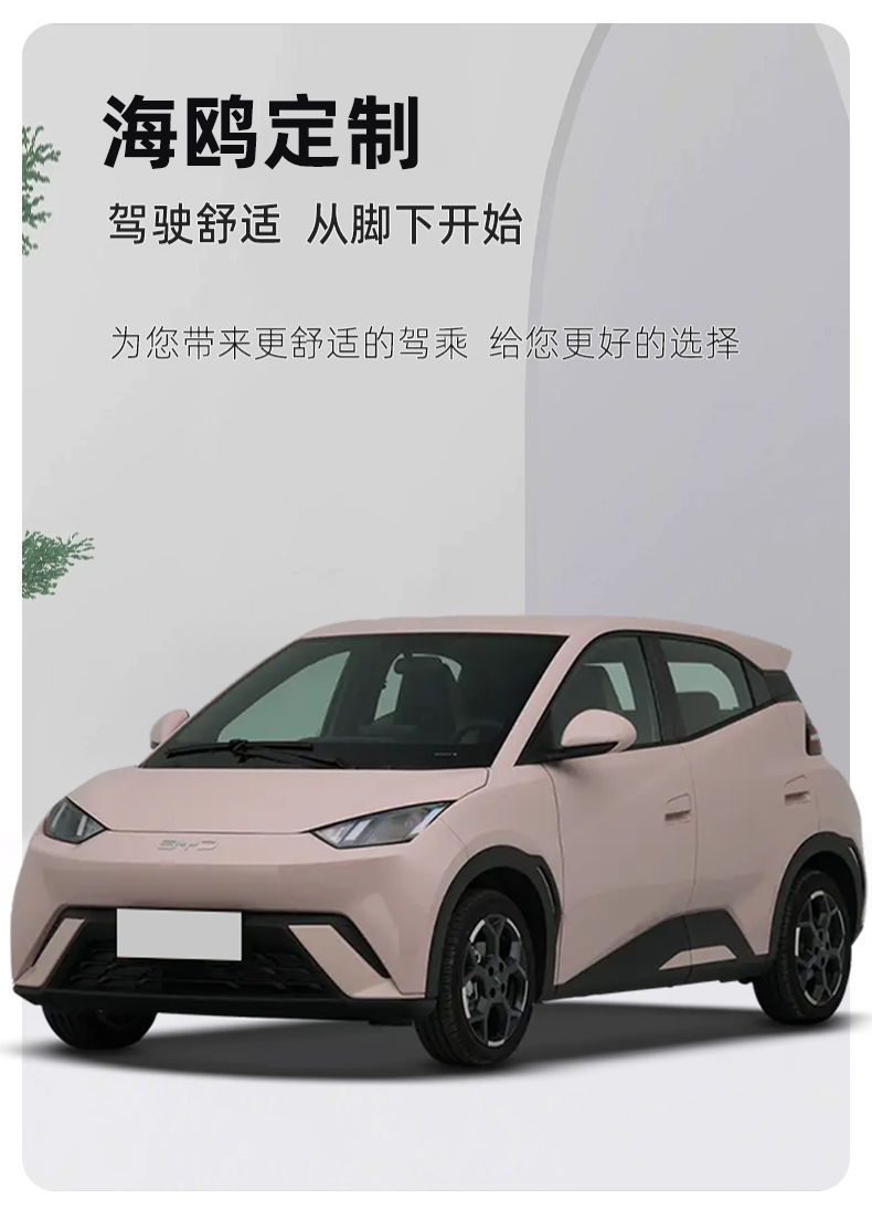Suitable for BYD Seagull Foot Pad TPE Enclosed 25 Carpet Pad Original Glory Edition Auto Supplies Decoration
