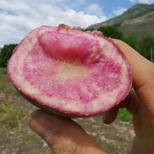 ����߲��������خa�t�Ĳʺ�tƤ���r������������ɢ�b������l