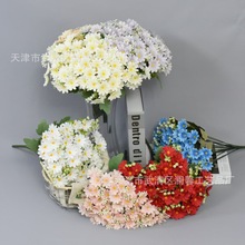 �¿�18�^����С�r�շ��滨��@�L���Y�������[�ٻ����Q�羳����