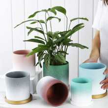 մɱWs₀ԻֲmG}ÎбPLDl