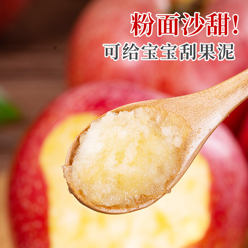 陝西省秦関粉麺、甘いリンゴ、生の赤ちゃん、高齢者、ベビースクレーパー、秋と冬の季節の果物、全箱|undefined
