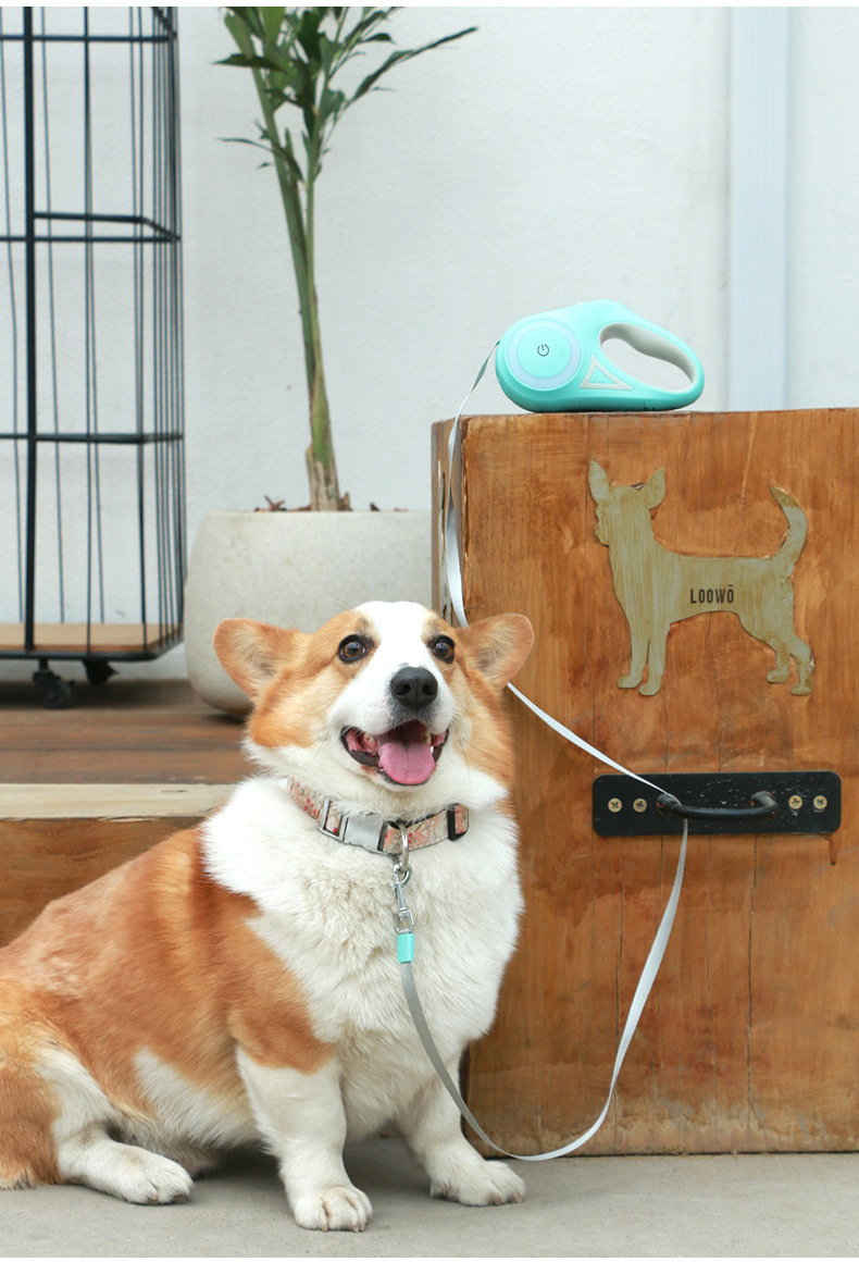 4f487524-a92d-4c6a-8dc1-22afa9c40ce5.jpe