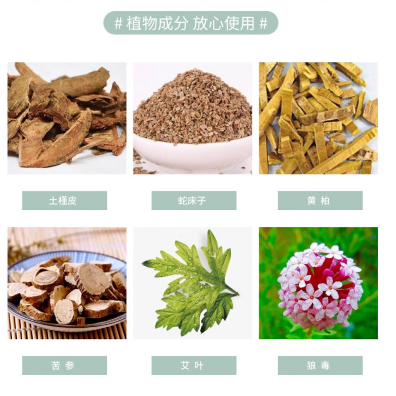 苗の先鋒の雲南の本草のシラミの立浄の草本の精華の植物は成分を抽出して温和に肌の代行を保護します。|undefined