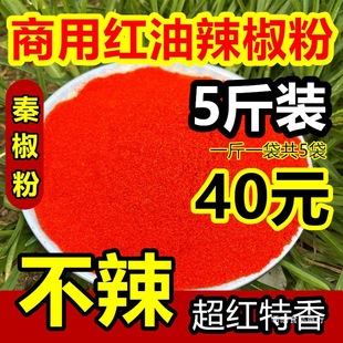 �ؽ������������� ����5����]��������t������{ζ�ϼ�������