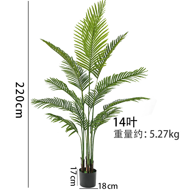 220cm 상서로운 해바라기