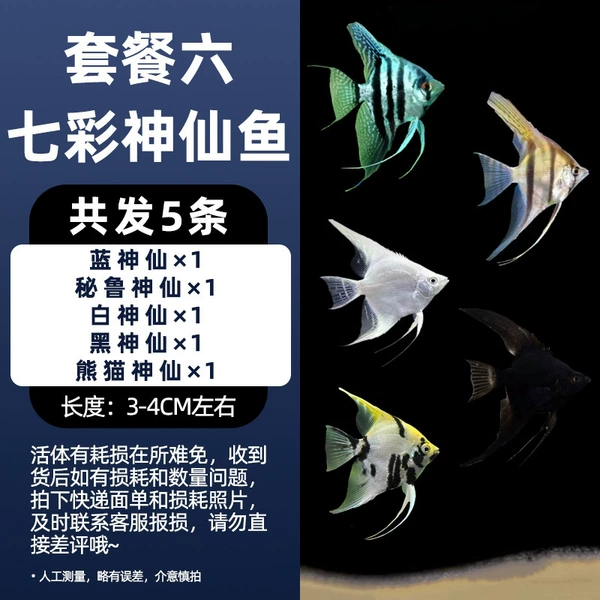 3-4cm package 5 total 5 pieces in total
