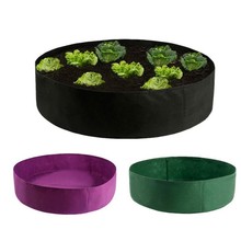 �A��ë��ֲ��NֲͰ�Nֲ���o����ë�ֈA��ֲ��Ͱ������ë�ַNֲͰ