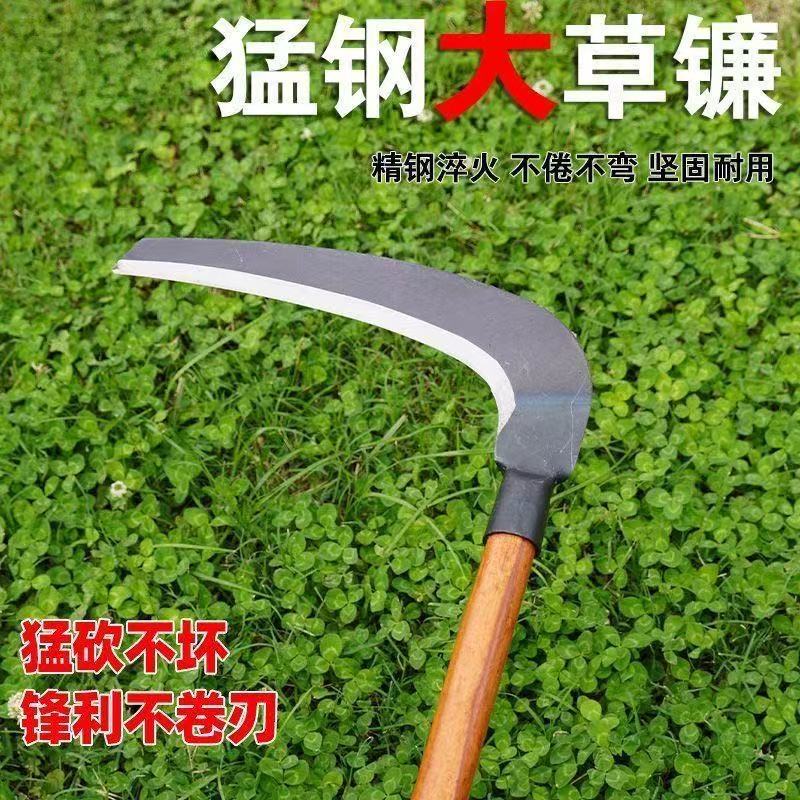 微信图片_20260222124926_103_28.jpg