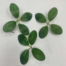 �S��ֱ�Nˮ�������lؔ�~  �G�~�٘��~�b���Ʒ��Ƭ�z���G�~