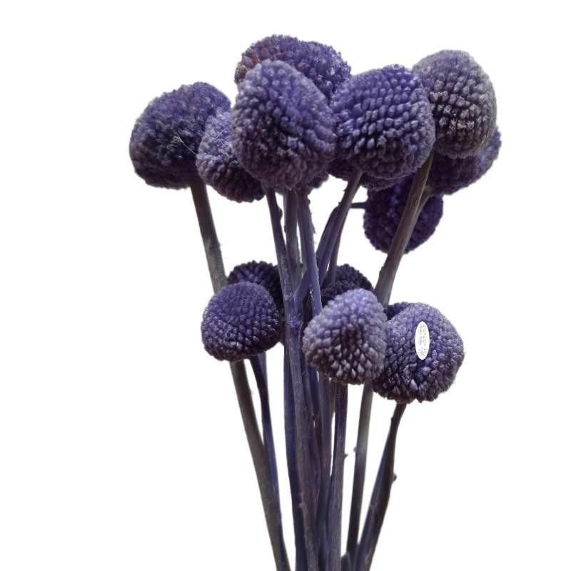 보라색(20개/묶음)