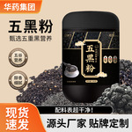 五黑粉批发营养早餐五谷黑芝麻糊罐装500g黑芝麻核桃黑豆粉代发