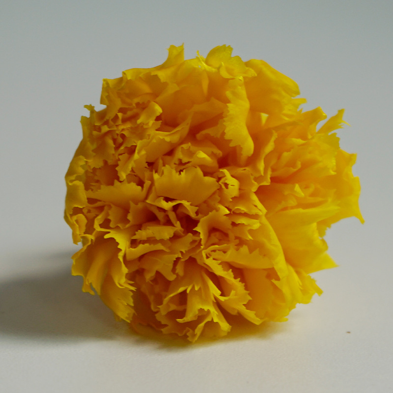 Flores amarillas 3-4cm10/caja