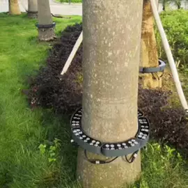 投射灯;埋地灯;地脚/墙脚灯