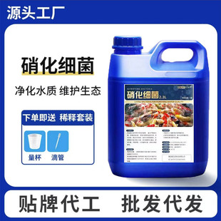 ���������~������������������B�~��Ʒˮ����ˮ��ˮ�|������ˮ��