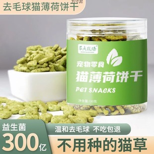 Cat Biscuits, Cat Snacks, Mint Fish Biscuits, Adult Cats and Kittens, Cat Teething Fish, Dried Cat Snacks, Fresh Factory