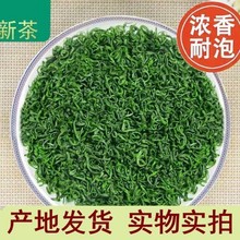 2023新茶叶绿茶春茶日照充足高山云雾浓香型毛尖茶袋装茶叶500g