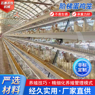 ���u�\�O����\�����A��ʽ�\�B�u�O���Bֳ�����������T�S�����l