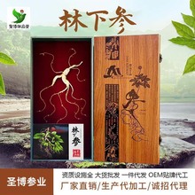 圣博林下参7-10年实木礼盒装厂家批发林下参一件代发量大从优人参