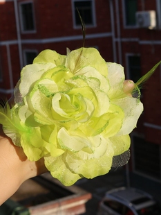 ?������赸õ�廨 �V������ë�ֻ� ���ݵ����^���Ƥ��15