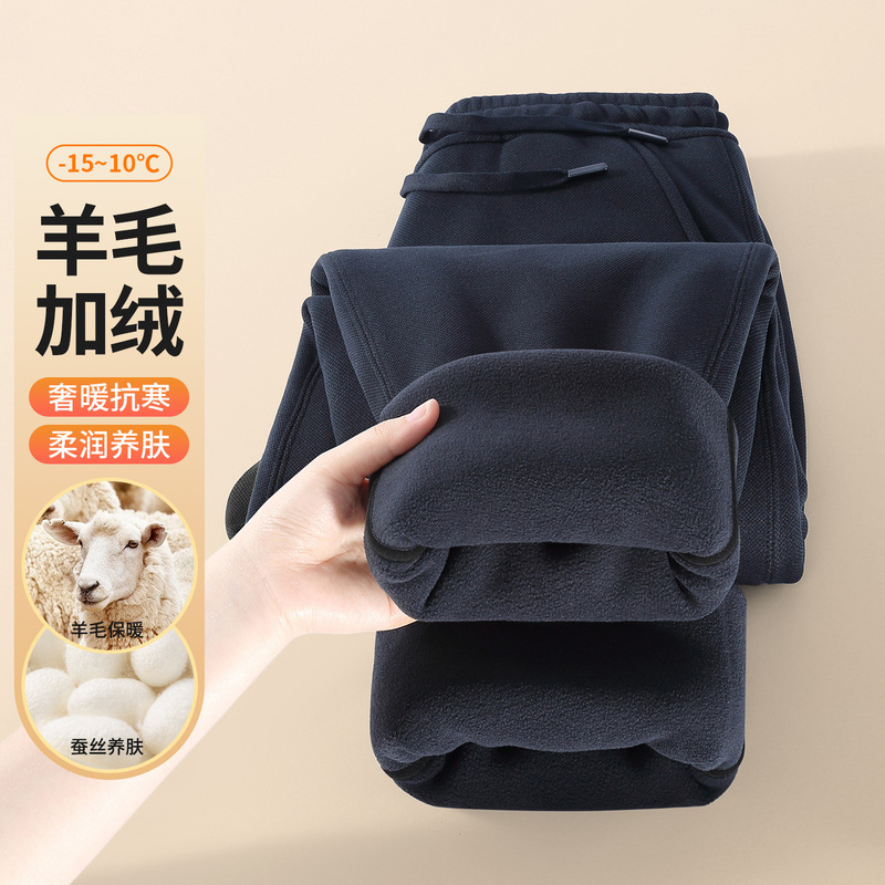 Wool Fleece-Lined Windproof Men's Casual Pants 2025 New Autumn and Winter Cotton Pants Sports Outdoor Warm Pants