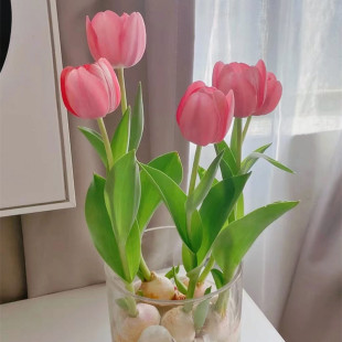 Tulip Bulbs, Hydroponic Florals and Green Plants, Potted Double-Flowered Plants, Indoor and Outdoor Blooming in All Seasons, Soil-Growing Cold-Resistant Flower Seeds