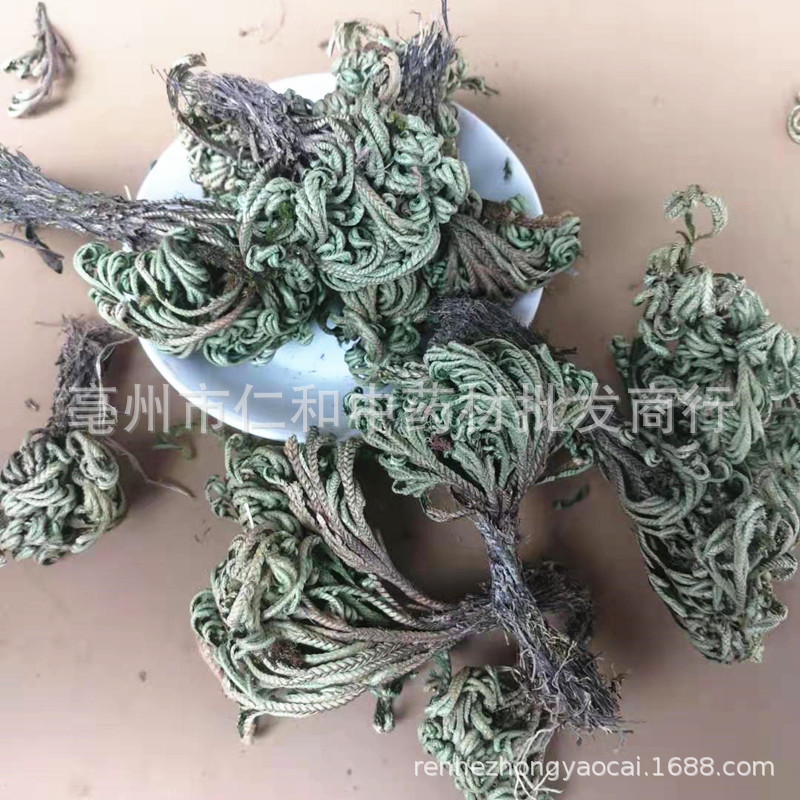 Dried Selaginella Juan Bai 500g Whole Herb Resurrection Grass Traditional TCM Botanical quality and texture