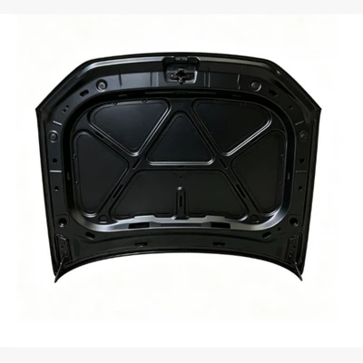 Lexus engine – Car shell