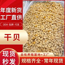 工厂批发大连干贝500g整箱批发250-1000头淡干瑶柱元贝干海鲜干货