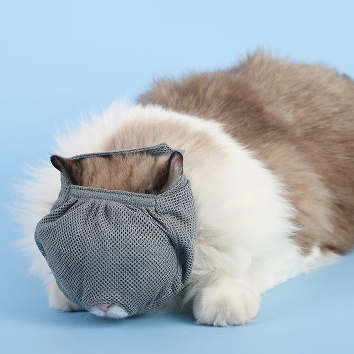 Máscara de gato Máscara de gato anti-mordedura y anti-estrés Máscara de gato de tela transpirable Máscara de gato multifunción anti-mascota Máscara de boca de gato al por mayor