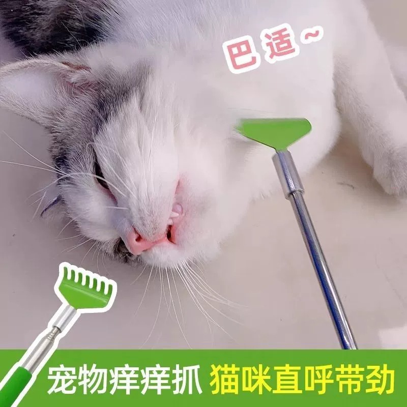 Masaje telescópico y cosquillas Peine interactivo para gatos Peine para perros Peine para aliviar la picazón Toy para rascarse para gatos