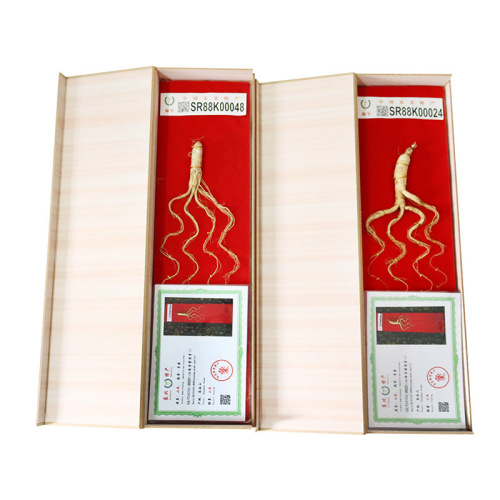 Changbai Mountain Ginseng Gift Box – Northeastern Specialty Ginseng Gift Set: Sun-Dried Ginseng & Wild Mountain Ginseng Gift Box for Corporate Sales and Gifting