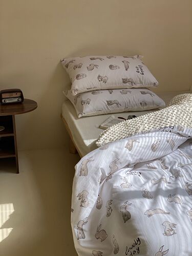 【Dropshipping】Doudou Fleece Quilt Set Four-Piece Winter Warm Cover Adult Calming Doudou Blanket Single Cover