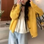 别致新款春季独特毛衣