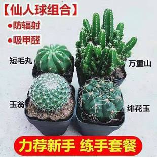 �������ݗ�������ֲ������ֲ�҃Ȼ��绨������ˮ��Gֲ����ֲ��