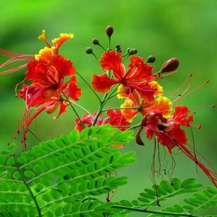 ���羳����P�N�ӽ��P��͐�����S�����S���P͐�s���t�����N�����l