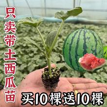 ������8424�������볬��o�����������������Ե��ԷNֲ������