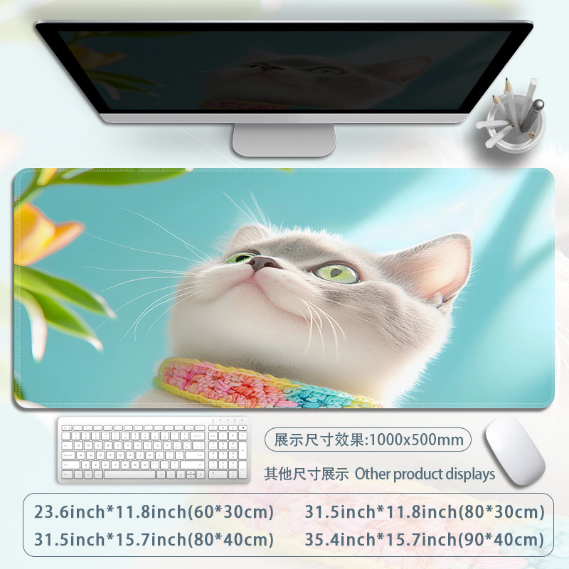 B77-웃긴
