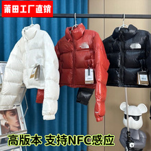 �����Ʒ�|��Ę��q��1984�϶��̿�Ӻ����IŮ���������q����