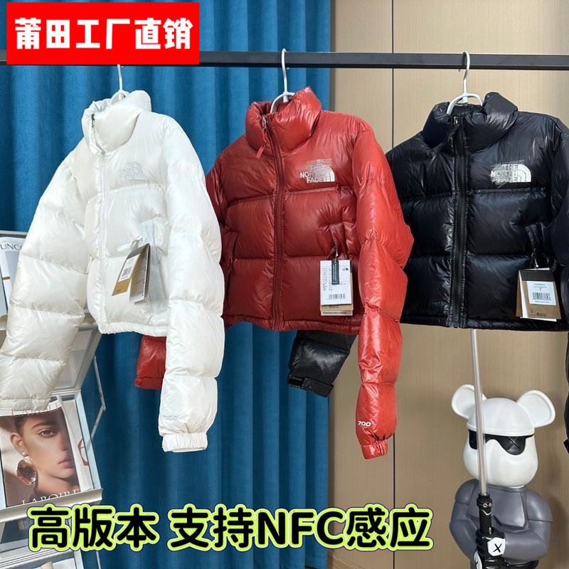 Putian High-Quality North Face down Jacket 1984 Kendall Short Thickeneded Stand-Up Collar Women's Winter Trendyy down Jacket