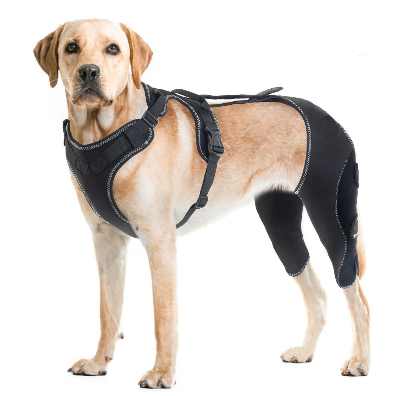 Поставки для домашних животных Трансграничные собачьи ножки грудные браслет собачьи задние ноги защитный чехол