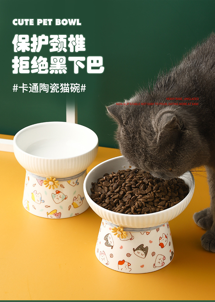宠物碗_01.jpg