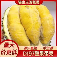 猫山王榴莲d197液氮冷冻保鲜带壳整果新鲜果源头批发同城24小时达