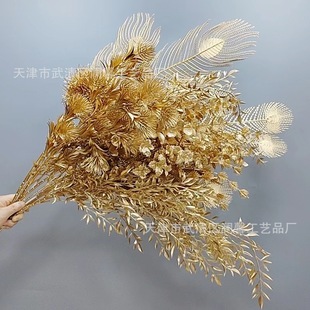 ɫyɫϵз滨ͰͰlؔͰ廨Q羳l